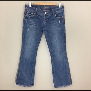 American Eagle Artist Jeans size 10